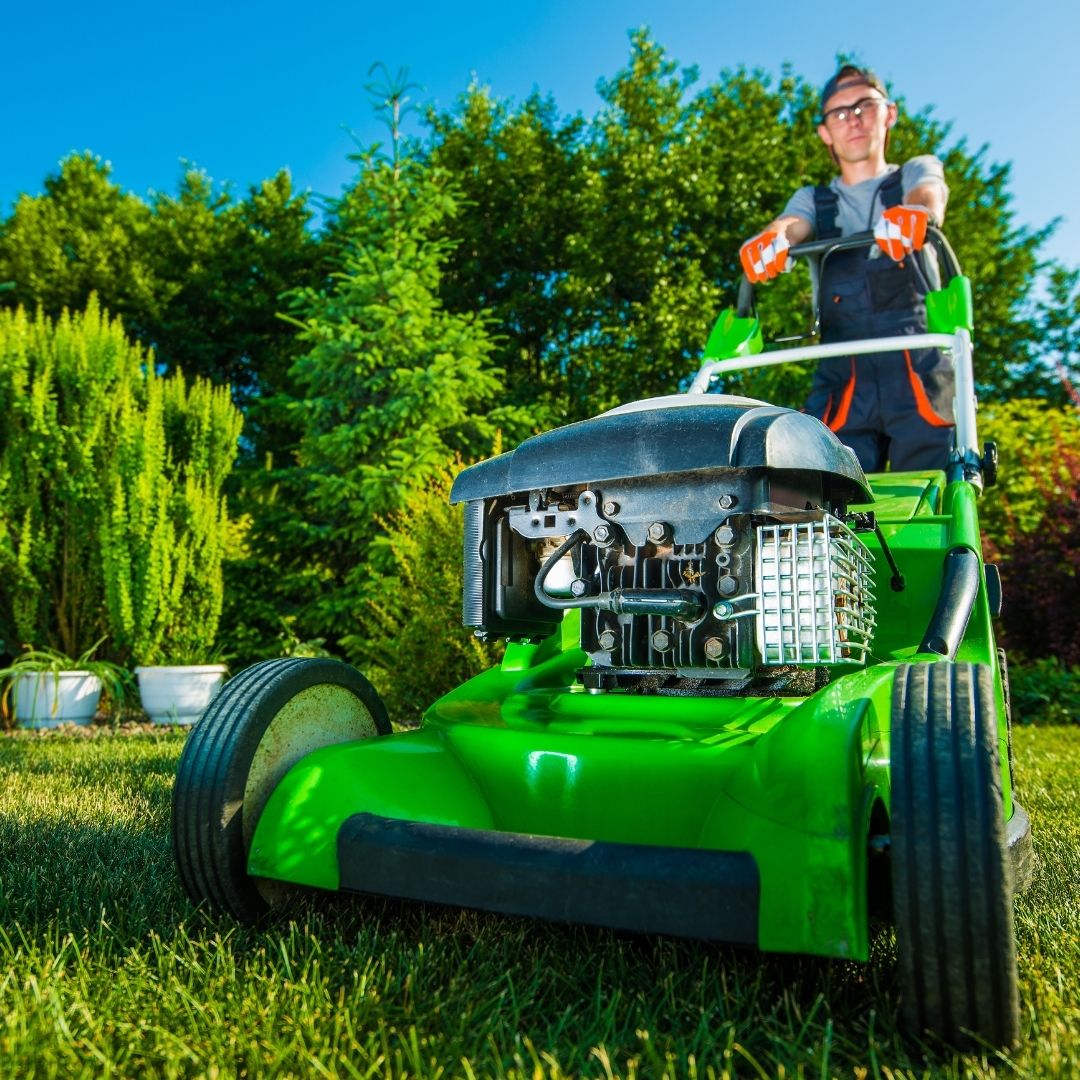 Gardening and Landscaping
