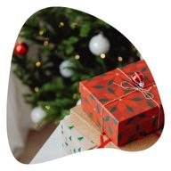 Reinforcement for the Christmas Season<br><br>
