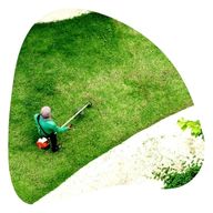 Jardinería y Paisajismo<br><br>