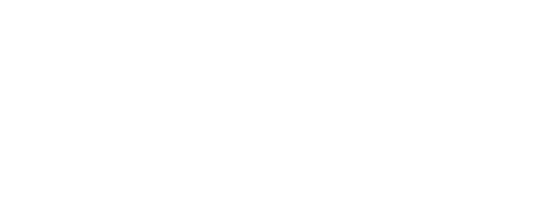 ExproSecurity_blanco